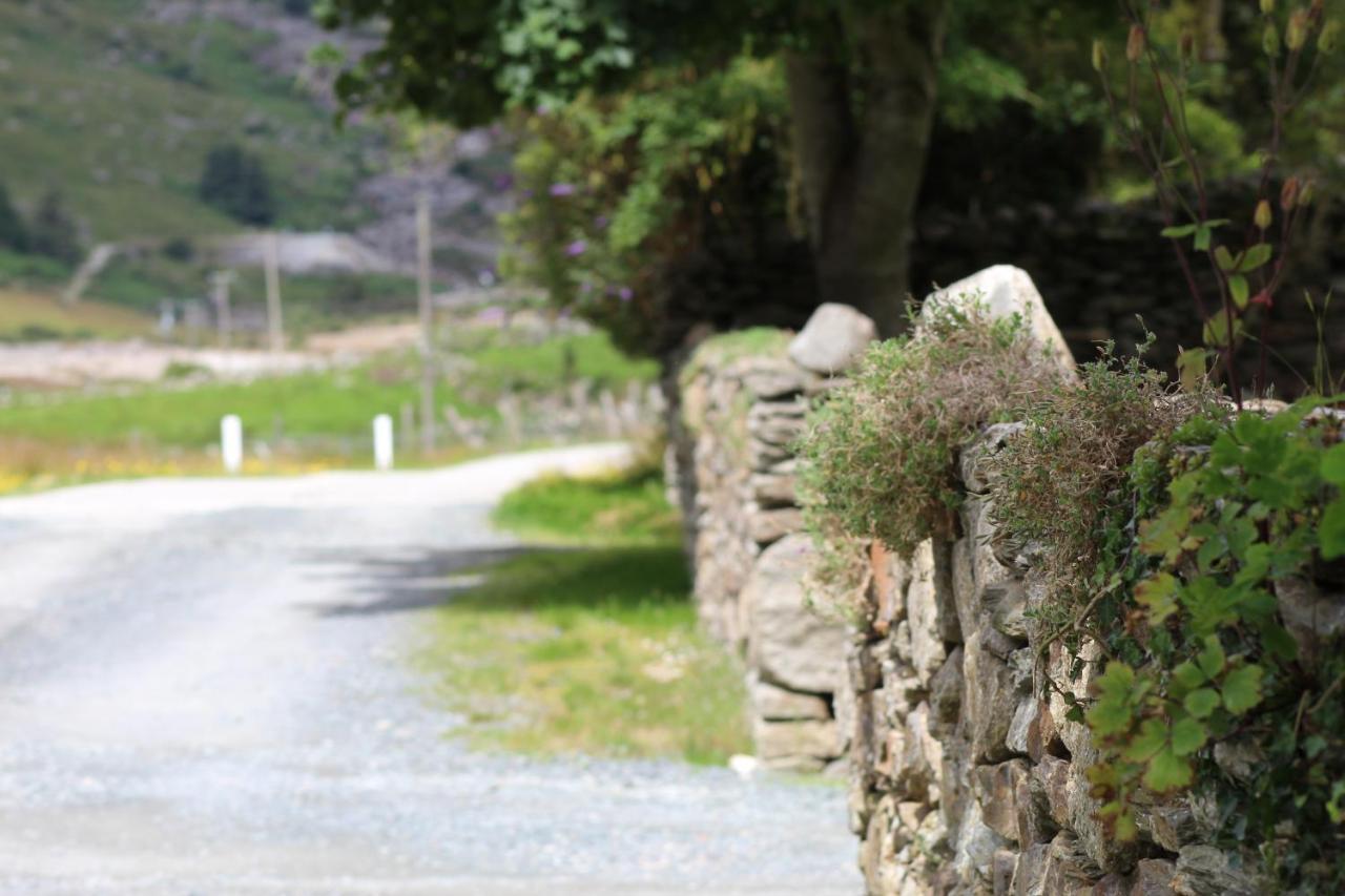 Riversdale House Room Only Accommodation, A98Kd85 Brockagh Luaran gambar